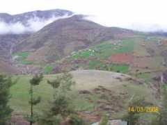 Imali