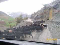 Imali
