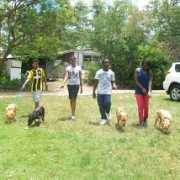 arkanimalwelfarebarbados.com Imanie