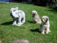 tibi-cologne.de Imgarten