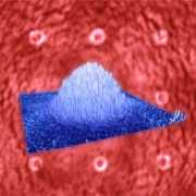 bec2008.grenoble.cnrs.fr Immanuel