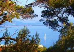 Immobiliere