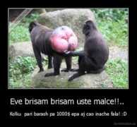 demotivation.us Inache