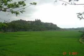 Inani
