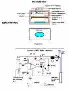 zoetecnocampo.com Incubadora