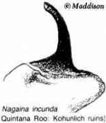 Incun