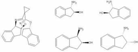 wirtz-chemieprodukte.de Indane
