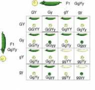 biology.about.com Independently