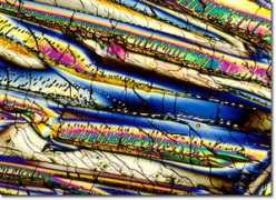 micro.magnet.fsu.edu:80 Indole