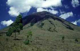 Ineria
