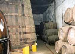 wineanorak.com Infantado