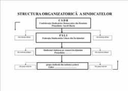 Infogen