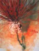 lehua.fc2web.com Infored