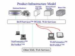 bioxing.com Infras