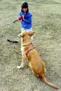straydog.org Inhan