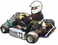 cobramotorsports.hendersoneast.com Inkart