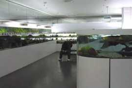 arowana.co.kr Innor