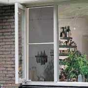 practicmagazin.ro Insecte