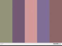 colourlovers.com Insensatez