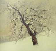 kenjacksonart.com Insilence