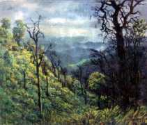 archives.scene4.com Intanont