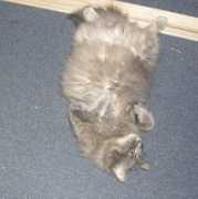 blogs.discovermagazine.com Invert