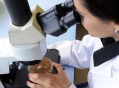 eldiariomontanes.es Investigador