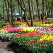 compagniadelgiardinaggio.it Inzaina