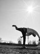 silverchips.mbhs.edu Ipanag