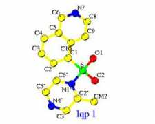 Iqp