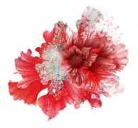 inspirefirst.com Iqueen