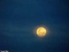 earthsky.org Irenilda