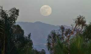 earthsky.org Irenilda
