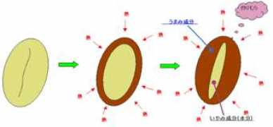 nanacoffee.com Irimura