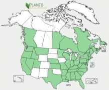 ontariowildflowers.com Irps