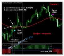 t-traders.com Isakas