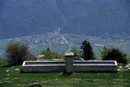 Isio