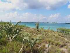 panoramio.com Isole