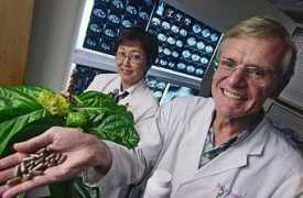 archives.starbulletin.com Issell