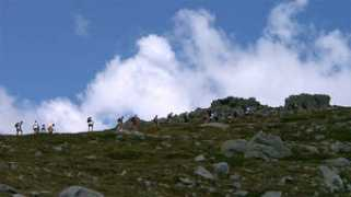 corsica.fiumorbu.free.fr Istes
