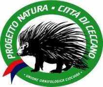 ornitofilia.it Istrice