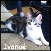 Ivanoe
