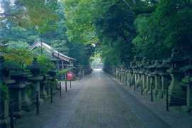 Iwashimizu