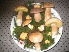 Izdam