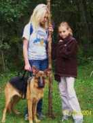 Jaade