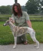 jaamawhippets.com Jaama