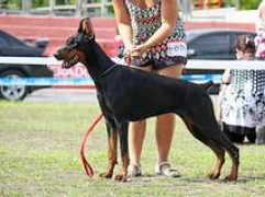 santkreal.ru Jaantje