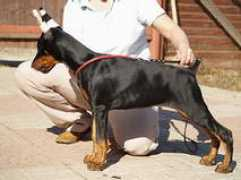 santkreal.ru Jaantje