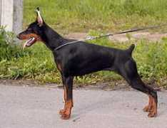 santkreal.ru Jaantje