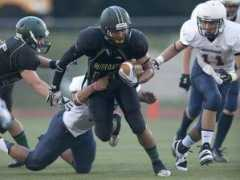 annarbor.com Jaavid